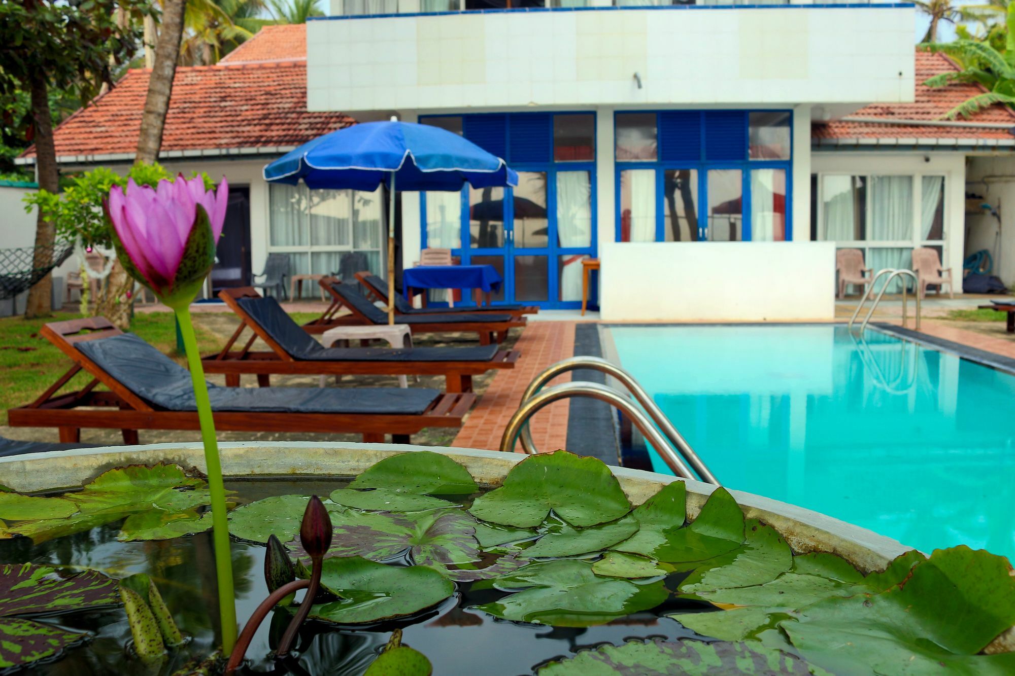 Edelweiss Resort Mirissa Exteriör bild